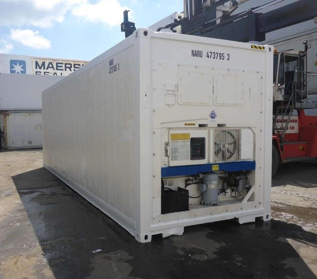 30 Feet Freezer Container Customized Mobile Cold Storage Cell Container / Reefer