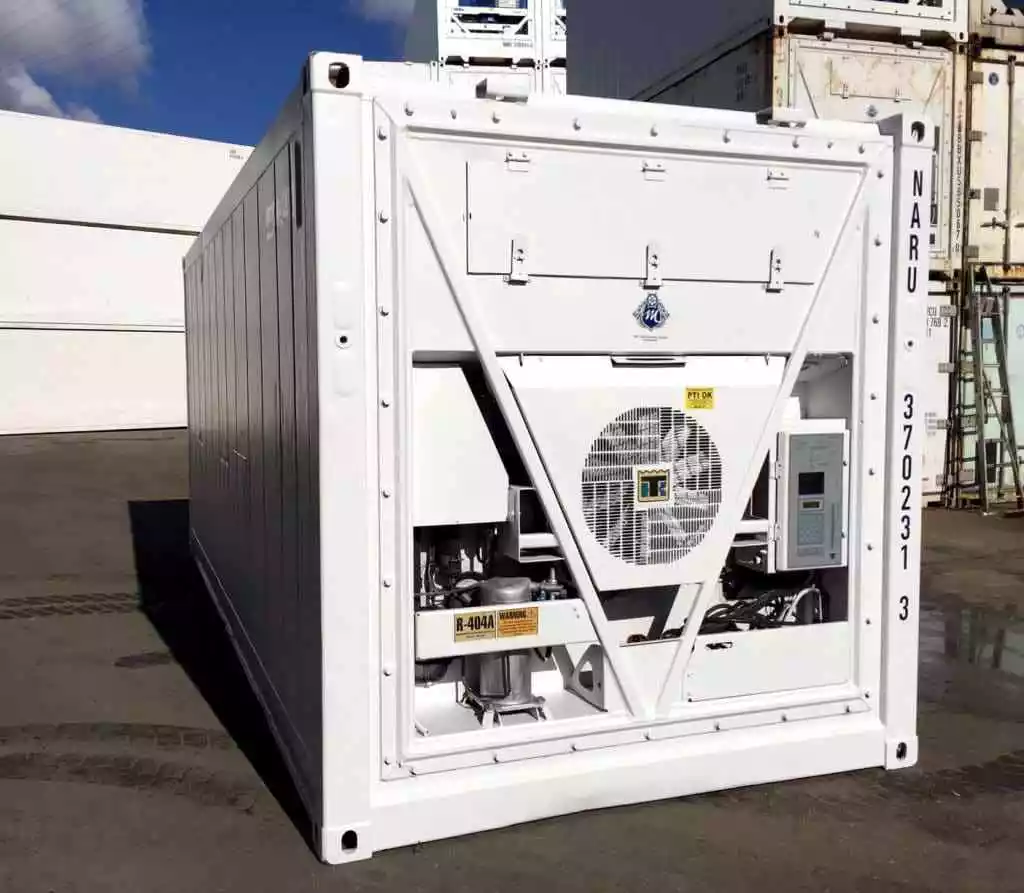 20 Feet Freezer Container Compact Mobile Cold Storage Cell Thermo King / Reefer