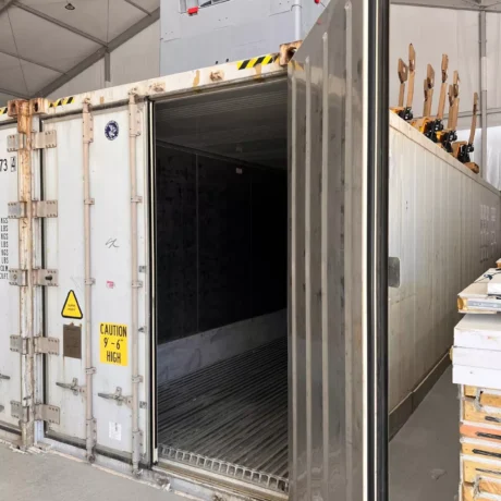 40Ft High Cube Refrigerated Storage Container Carrier Primeline YOM