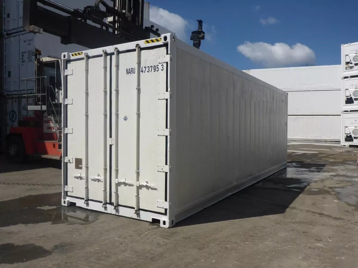 30 Feet Freezer Container Customized Mobile Cold Storage Cell Container / Reefer