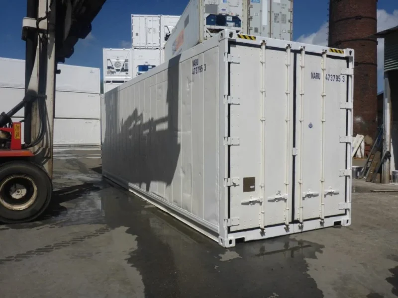 30 Feet Freezer Container Customized Mobile Cold Storage Cell Container / Reefer