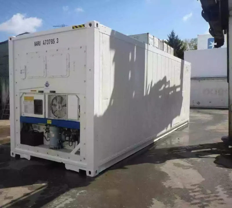 30 Feet Freezer Container Customized Mobile Cold Storage Cell Container / Reefer